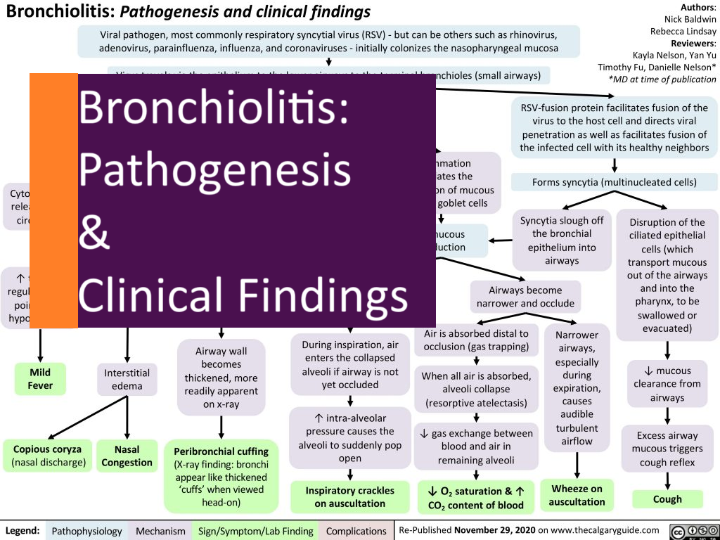 The Calgary Guide to Understanding Disease. Bronchiolitis: Pathogenesis and clinical findings. 2020.